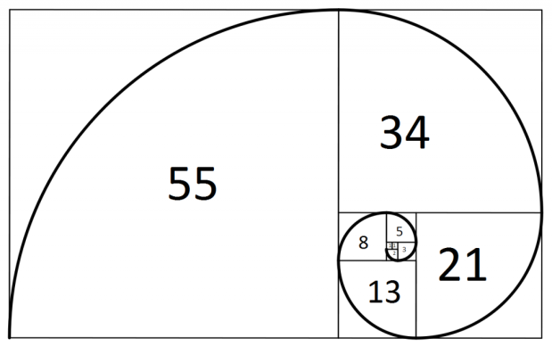 Fibonacci-Spiral-1024x645